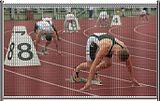 trackfence.jpg image by Northern_Design